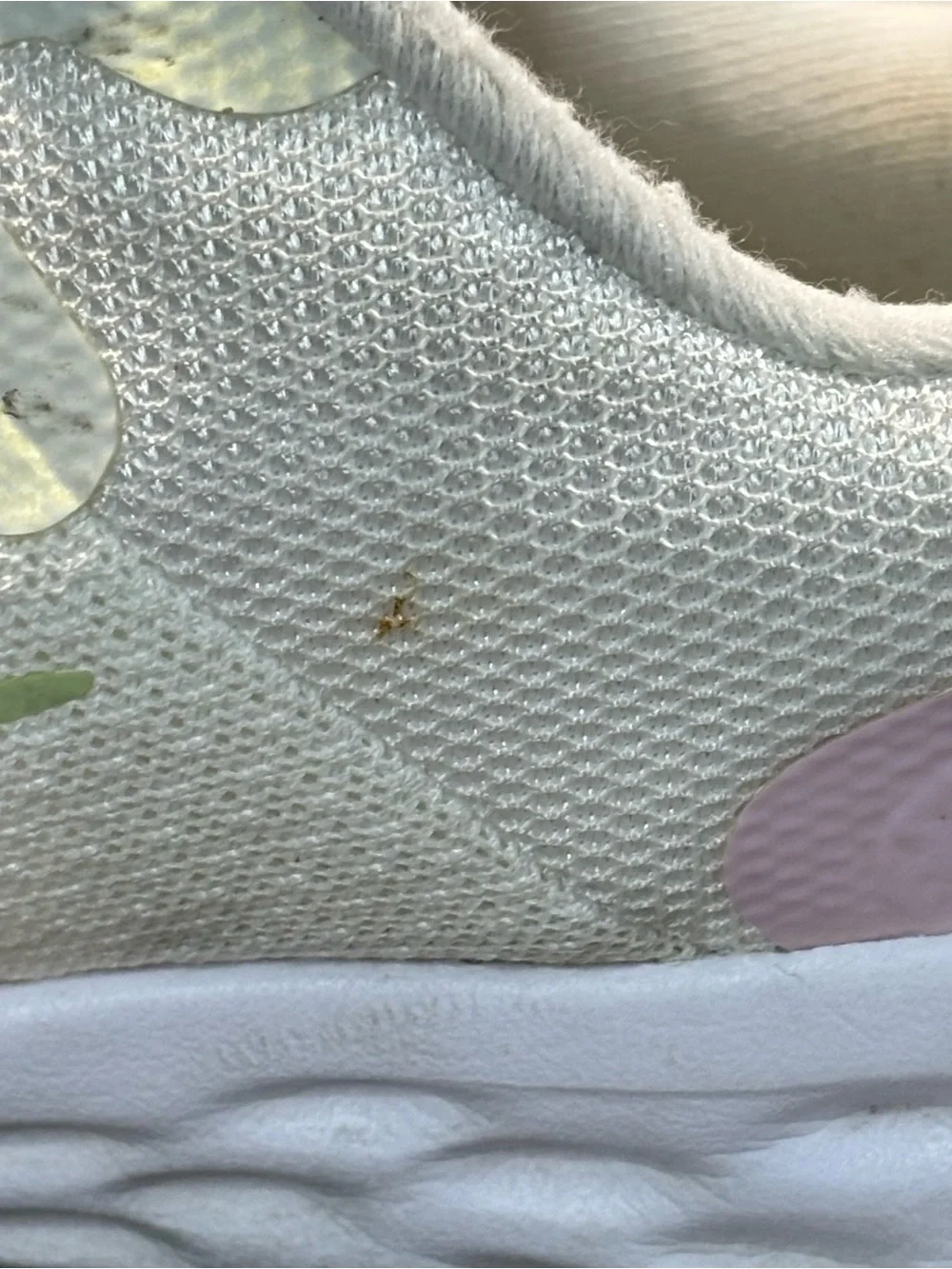 Nike revolution nn